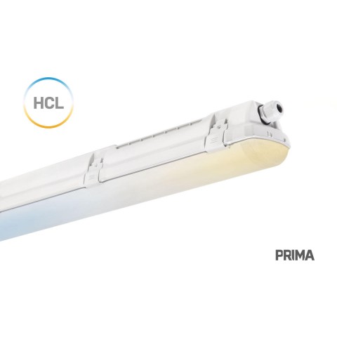 Світильник TREVOS LINEA 2.4ft 8800/827-865 TW